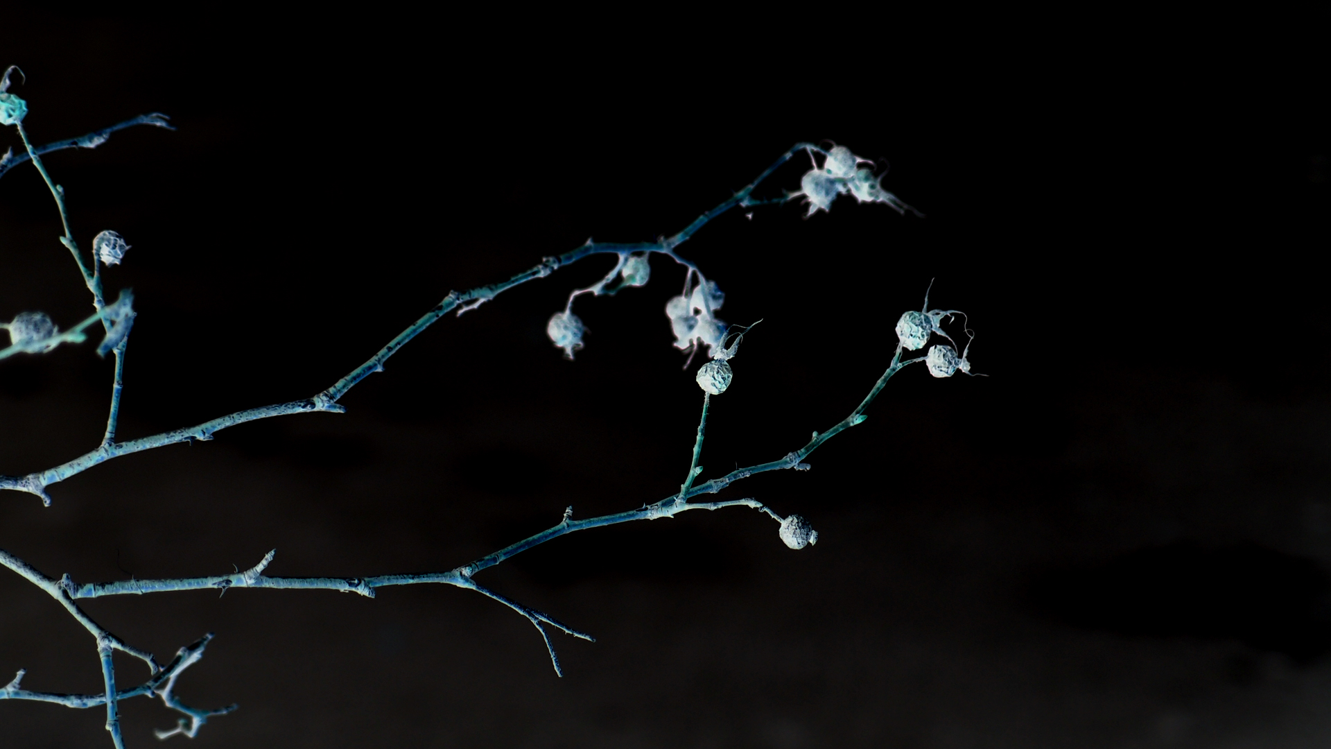 2021-03-10 Hanno Leichtmann - 1996 Monolith (rauschpartikel Remix 1 - 3)